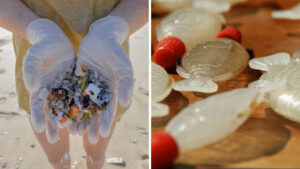 nsw-bans-more-single-use-plastics-urgent-crackdown-begins