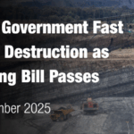 nsw-government-approves-controversial-planning-bill-amid-backlash