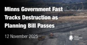 nsw-government-approves-controversial-planning-bill-amid-backlash