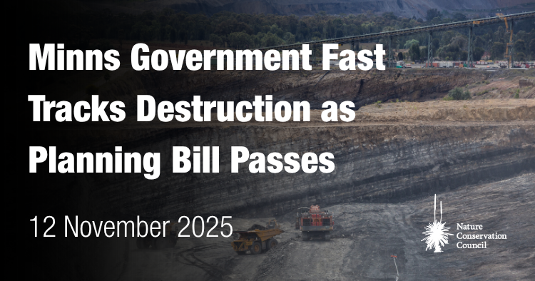 nsw-government-approves-controversial-planning-bill-amid-backlash