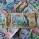 nz-researchers-uncover-500-million-in-high-risk-investments