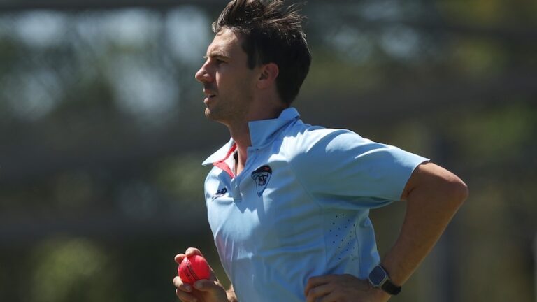 pat-cummins-and-josh-hazlewood-target-return-for-second-ashes-test