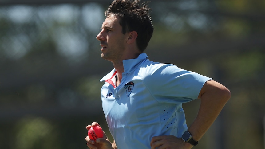 pat-cummins-and-josh-hazlewood-target-return-for-second-ashes-test