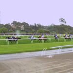 queen-elizabeth-stakes-highlights-melbourne-cup-carnival-action