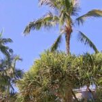 queensland-faces-severe-weather-threat-as-storms-loom