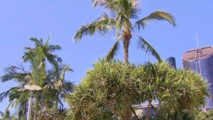 queensland-faces-severe-weather-threat-as-storms-loom