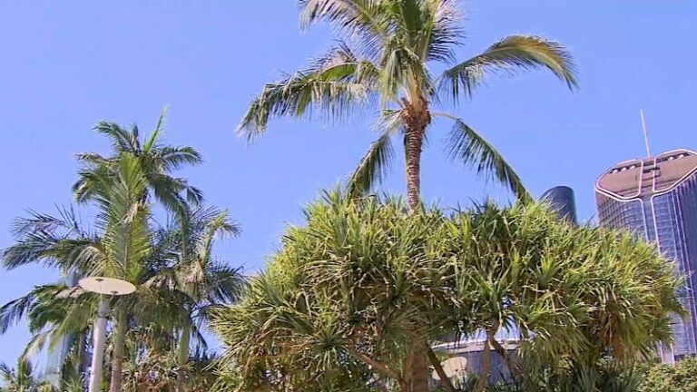 queensland-faces-severe-weather-threat-as-storms-loom