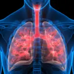 researchers-gather-to-address-global-tuberculosis-challenges