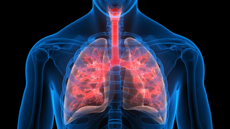researchers-gather-to-address-global-tuberculosis-challenges