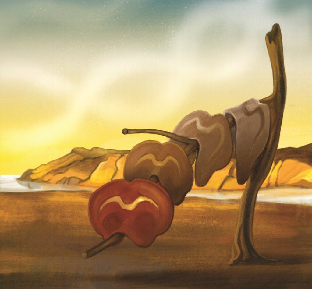 researchers-uncover-molecular-map-of-mouse-brain-development