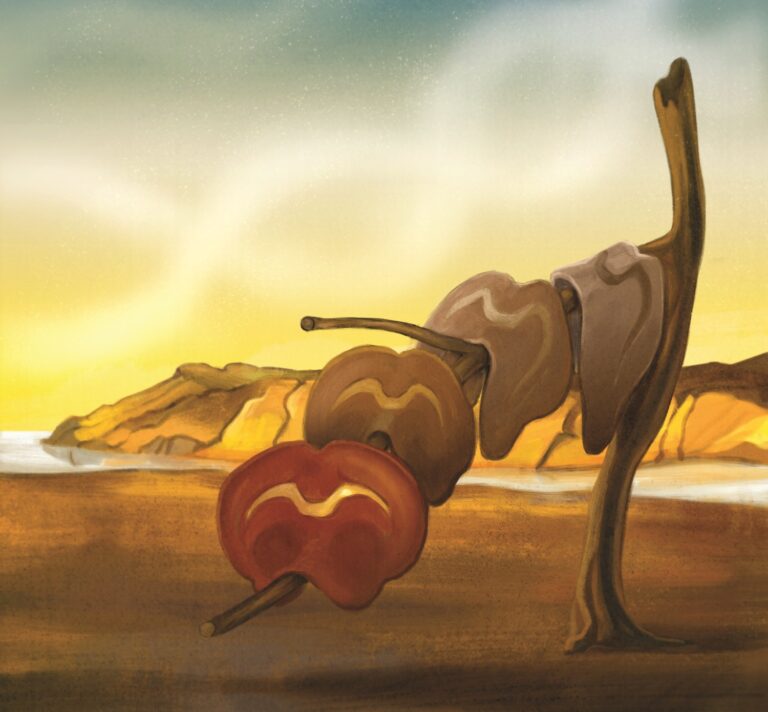 researchers-uncover-molecular-map-of-mouse-brain-development