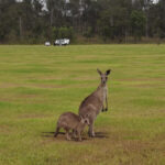 rex-patrick-hits-the-road-crusading-for-transparency-nationwide