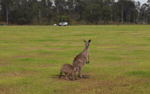 rex-patrick-hits-the-road-crusading-for-transparency-nationwide