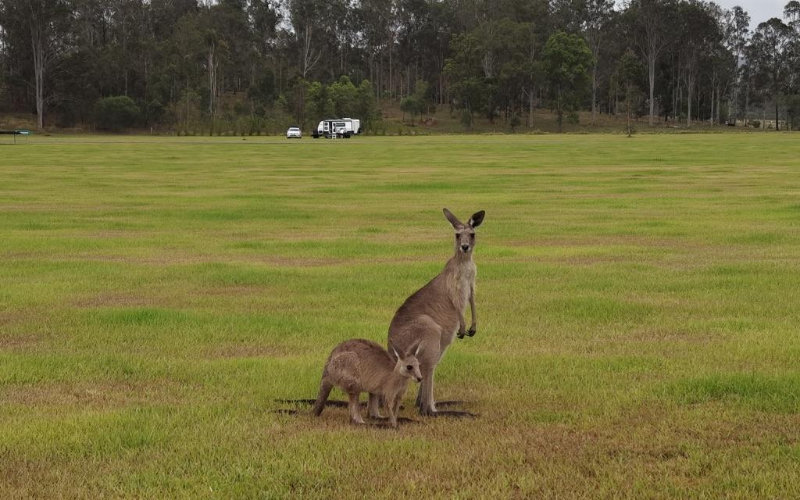 rex-patrick-hits-the-road-crusading-for-transparency-nationwide