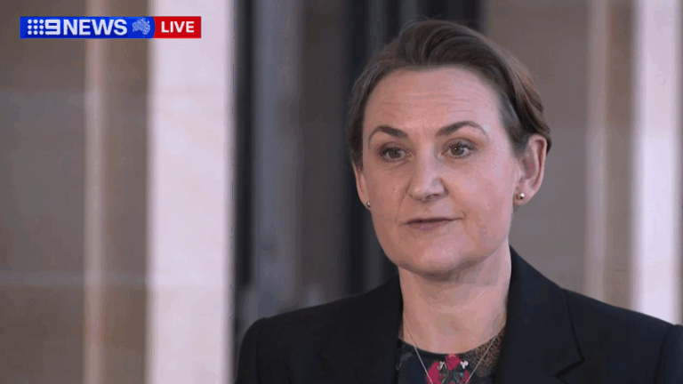 sanderson-endorses-cook-to-lead-wa-labor-into-2029-election