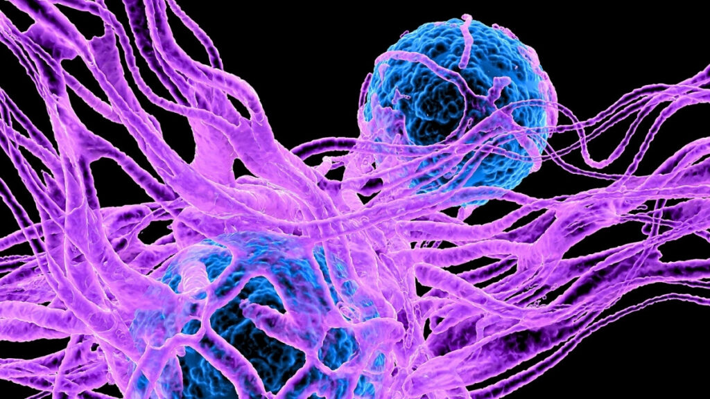 scientists-uncover-serotonin-s-surprising-role-in-cancer-development