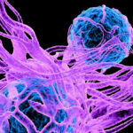 scientists-uncover-serotonin-s-surprising-role-in-cancer-development