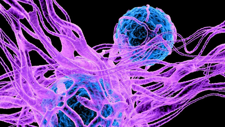 scientists-uncover-serotonin-s-surprising-role-in-cancer-development