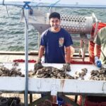 southern-oysters-surge-farmers-revitalize-industry-amid-challenges