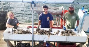 southern-oysters-surge-farmers-revitalize-industry-amid-challenges
