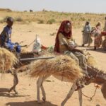 sudanese-army-intercepts-15-rebel-drones-targeting-cities