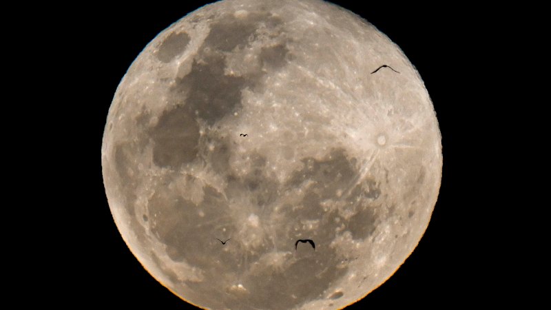 supermoon-alert-witness-the-spectacular-beaver-moon-tonight-