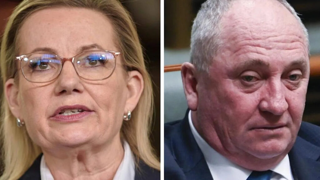 sussan-ley-avoids-joyce-dinner-questions-amid-coalition-turmoil