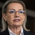 sussan-ley-new-coal-fired-power-plants-highly-unlikely-