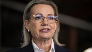 sussan-ley-new-coal-fired-power-plants-highly-unlikely-