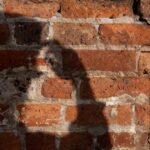 tasmania-s-new-bill-empowers-parents-to-safeguard-children