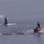 three-jet-ski-riders-charged-for-harassing-dolphins-in-adelaide