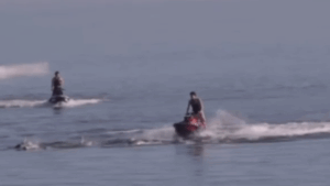 three-jet-ski-riders-charged-for-harassing-dolphins-in-adelaide