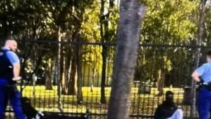 three-men-arrested-in-sydney-as-police-seize-loaded-shotgun