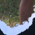 tradie-fights-off-great-white-shark-in-dramatic-beach-escape