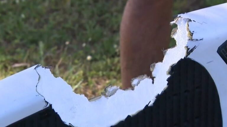 tradie-fights-off-great-white-shark-in-dramatic-beach-escape