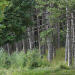 uk-father-condemns-italy-court-s-shocking-removal-of-children