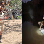 urgent-1-200-fine-alert-for-pet-dumping-in-nt-waterholes