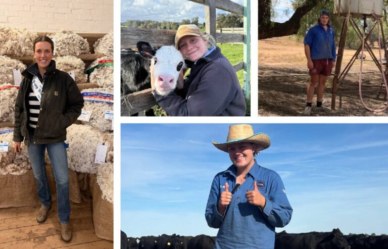 urgent-agcareerstart-faces-closure-despite-high-returns