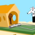 urgent-alert-3-crucial-tips-before-buying-your-next-home