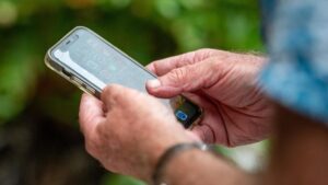 urgent-alert-australia-post-warns-of-scams-targeting-online-sellers