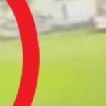 urgent-car-plunges-into-crowd-at-nsw-speedway-one-critical