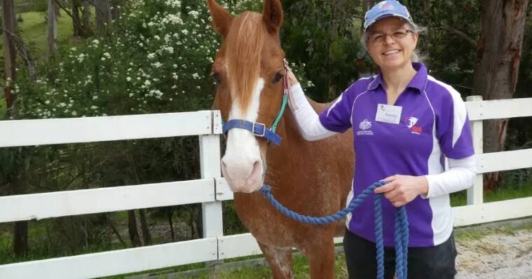 urgent-critical-horse-shortage-threatens-disabled-riding-program