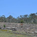 urgent-deal-needed-on-environmental-bill-to-save-projects