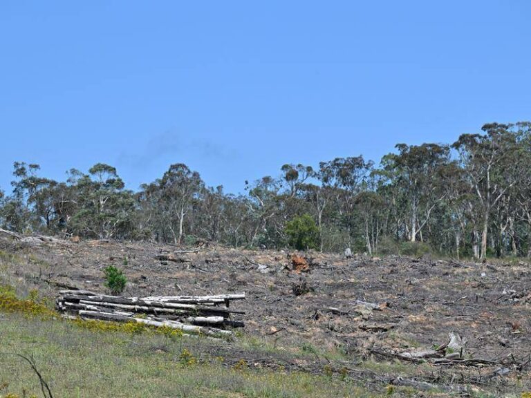 urgent-deal-needed-on-environmental-bill-to-save-projects