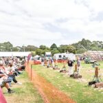 urgent-decision-skatepark-location-finalized-for-foster-showgrounds