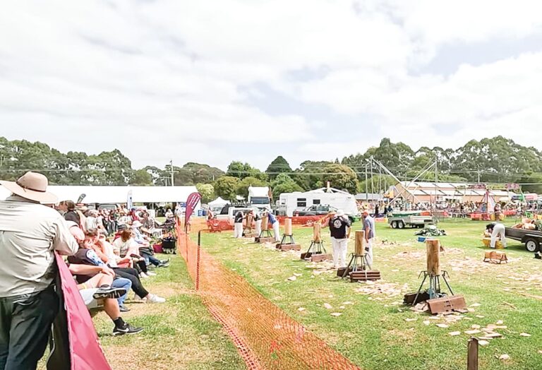 urgent-decision-skatepark-location-finalized-for-foster-showgrounds