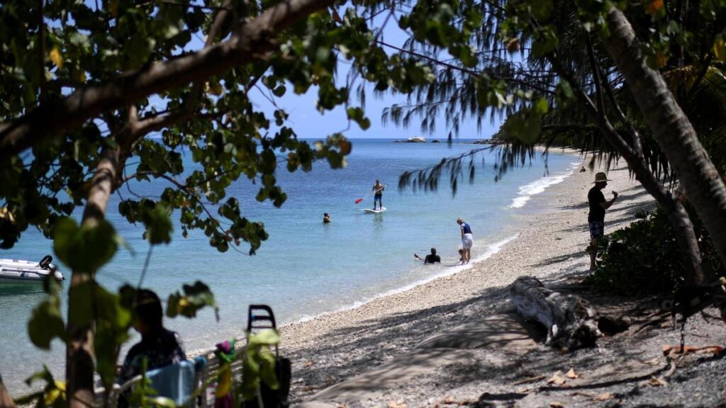 urgent-great-barrier-reef-risks-persist-despite-labor-reforms