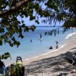 urgent-great-barrier-reef-risks-persist-despite-labor-reforms