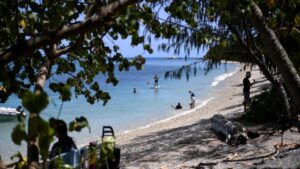 urgent-great-barrier-reef-risks-persist-despite-labor-reforms