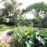 urgent-guide-selecting-the-best-trees-for-your-garden-today